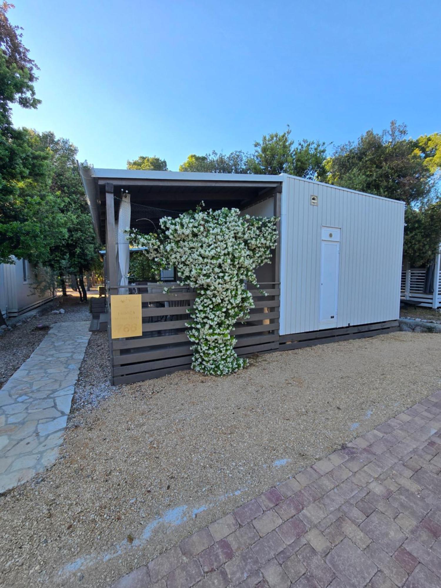 Holiday Homes Lavanda - Biograd Na Moru Exterior photo